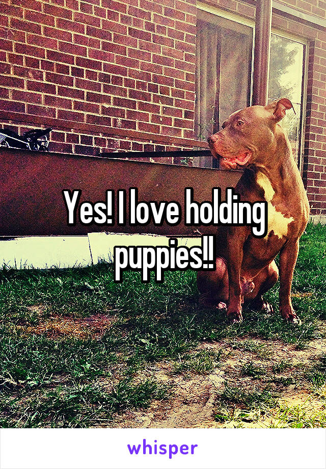Yes! I love holding puppies!!