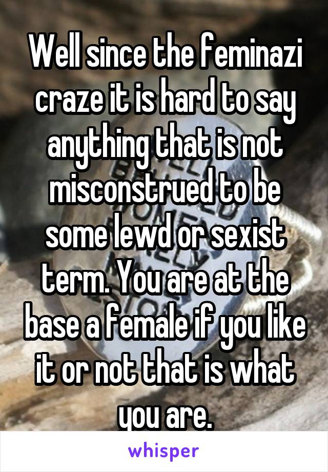 Well since the feminazi craze it is hard to say anything that is not misconstrued to be some lewd or sexist term. You are at the base a female if you like it or not that is what you are.