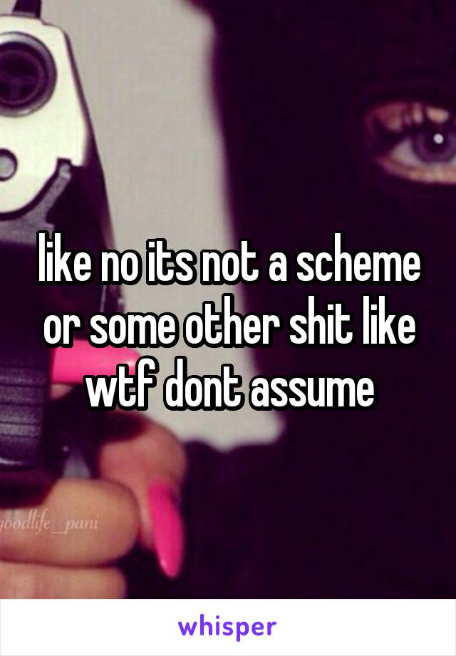 like no its not a scheme or some other shit like wtf dont assume