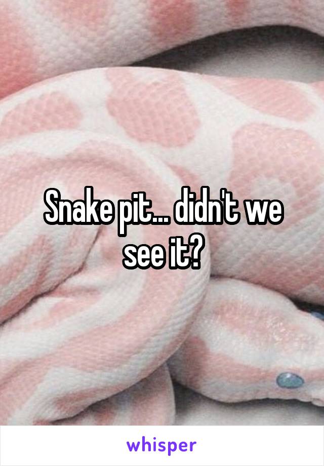 Snake pit... didn't we see it?