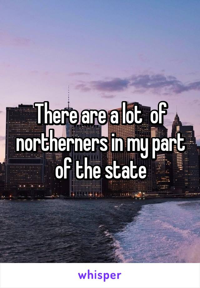 There are a lot  of northerners in my part of the state