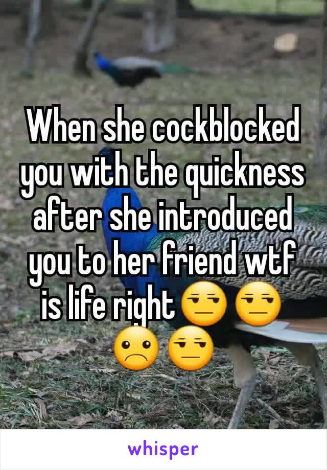 When she cockblocked you with the quickness after she introduced you to her friend wtf is life right😒😒☹😒