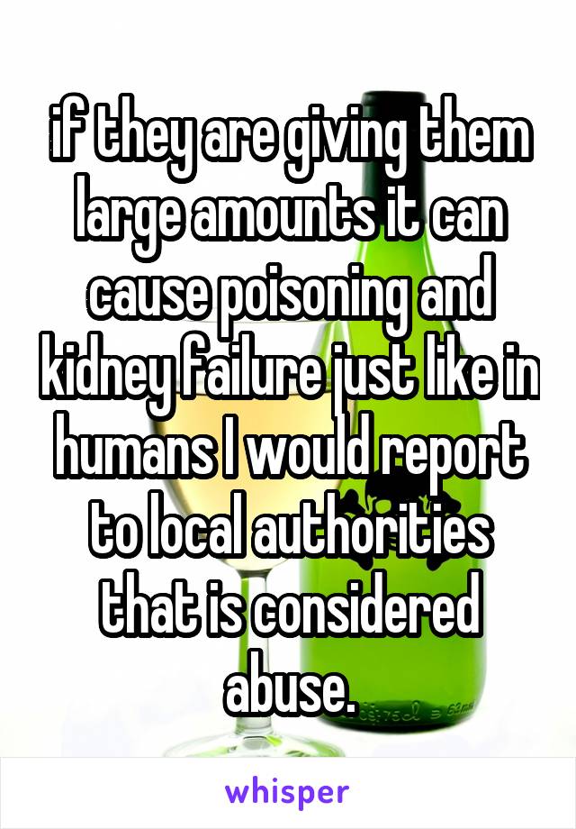 if they are giving them large amounts it can cause poisoning and kidney failure just like in humans I would report to local authorities that is considered abuse.