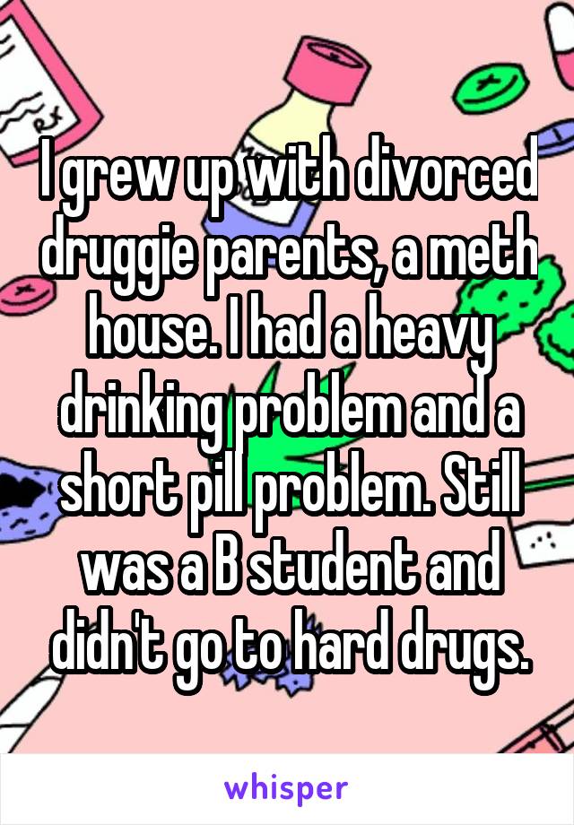 I grew up with divorced druggie parents, a meth house. I had a heavy drinking problem and a short pill problem. Still was a B student and didn't go to hard drugs.