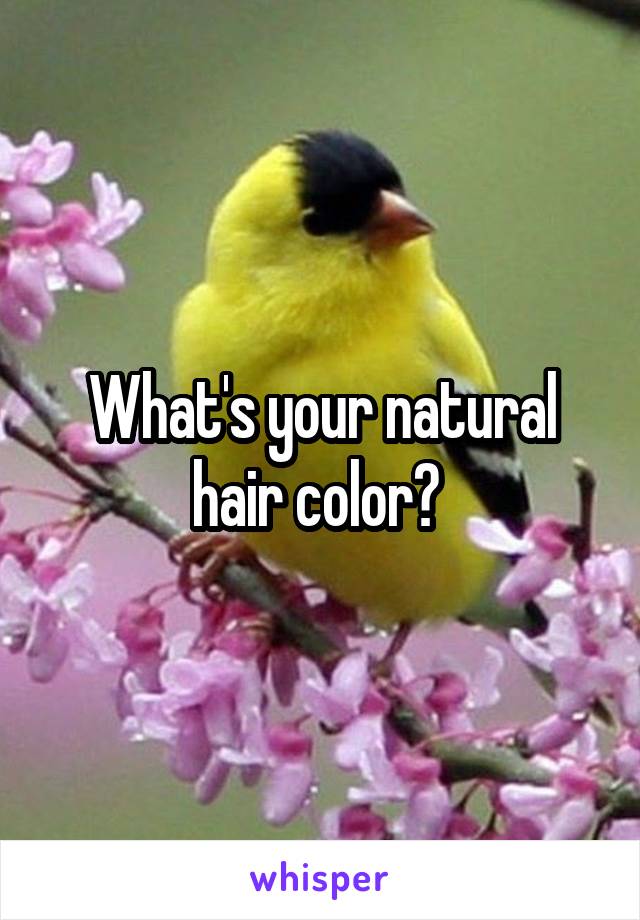 What's your natural hair color? 