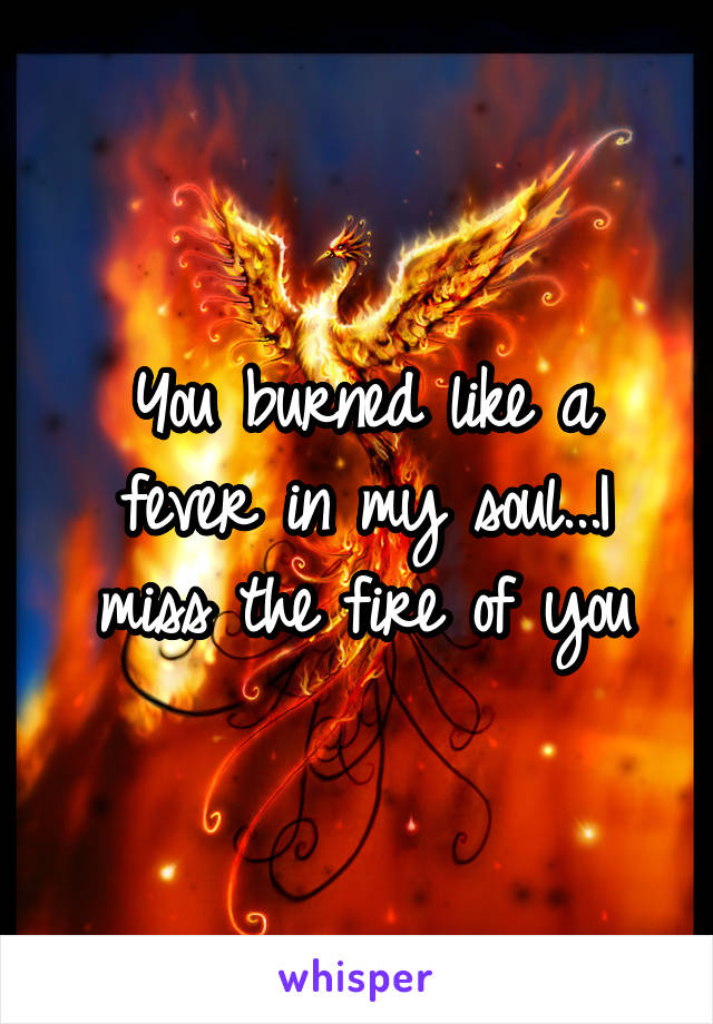 You burned like a fever in my soul...I miss the fire of you