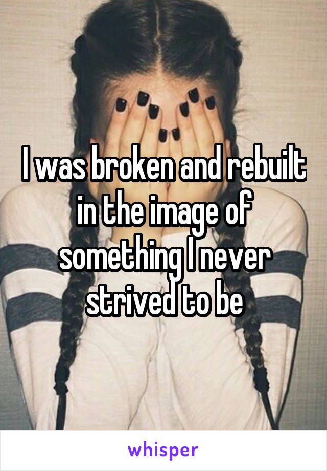 I was broken and rebuilt in the image of something I never strived to be