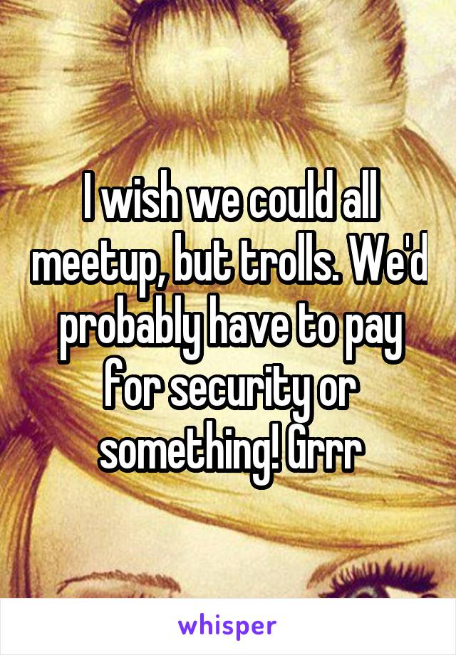 I wish we could all meetup, but trolls. We'd probably have to pay for security or something! Grrr