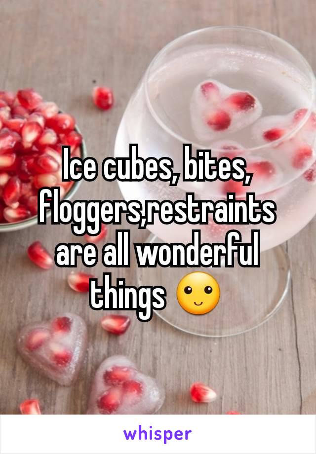 Ice cubes, bites, floggers,restraints are all wonderful things 🙂