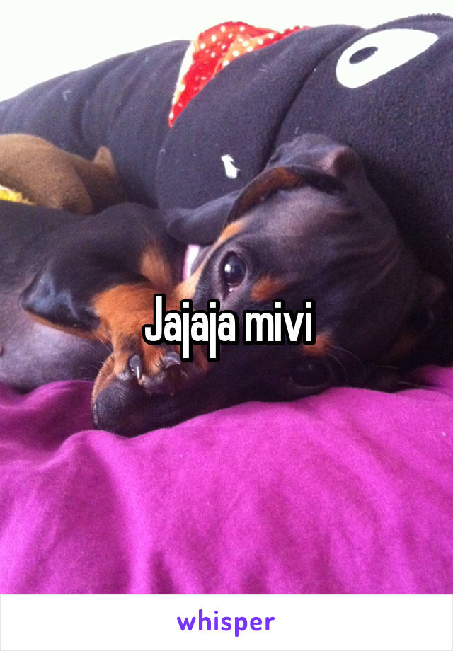 Jajaja mivi