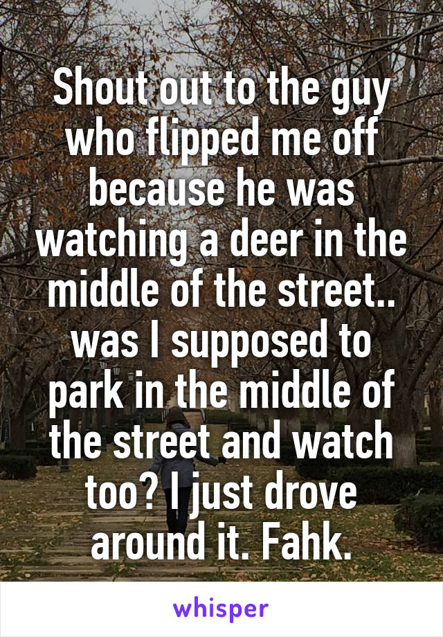 Shout out to the guy who flipped me off because he was watching a deer in the middle of the street.. was I supposed to park in the middle of the street and watch too? I just drove around it. Fahk.