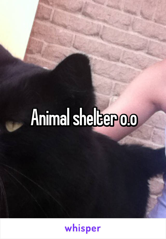 Animal shelter o.o