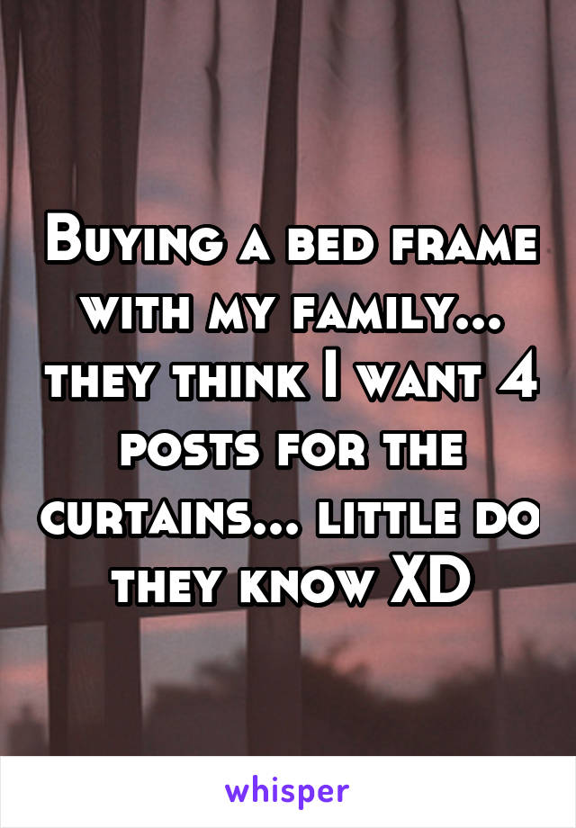 Buying a bed frame with my family... they think I want 4 posts for the curtains... little do they know XD