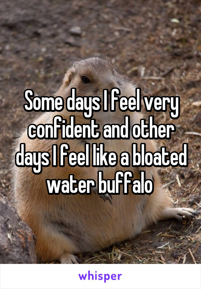 Some days I feel very confident and other days I feel like a bloated water buffalo 