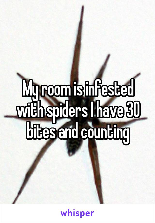 My room is infested with spiders I have 30 bites and counting