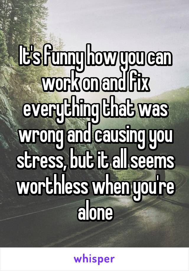 It's funny how you can work on and fix everything that was wrong and causing you stress, but it all seems worthless when you're alone