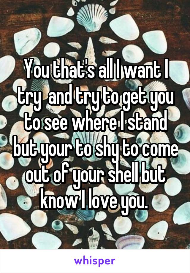 You that's all I want I try  and try to get you to see where I stand but your to shy to come out of your shell but know I love you. 