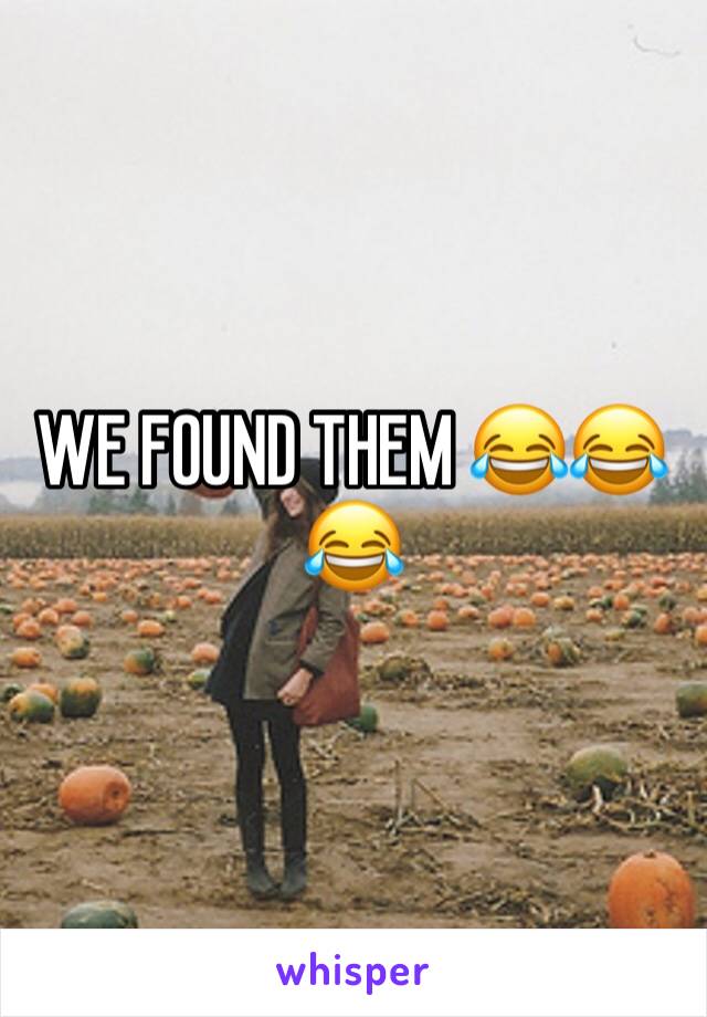 WE FOUND THEM 😂😂😂