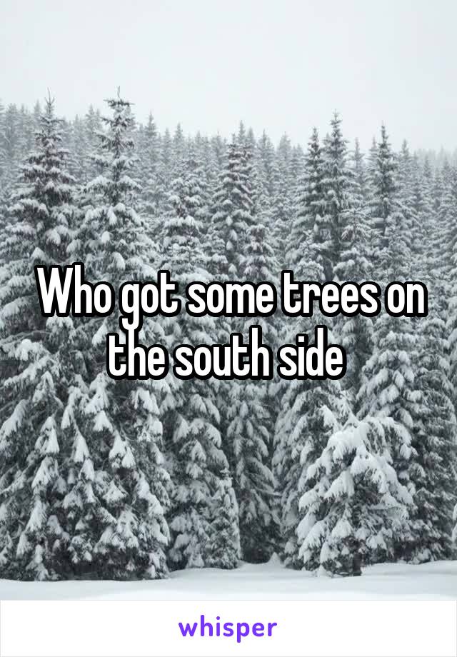 Who got some trees on the south side 