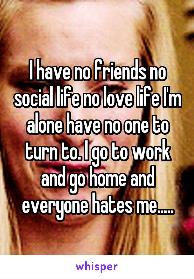 I have no friends no social life no love life I'm alone have no one to turn to. I go to work and go home and everyone hates me.....