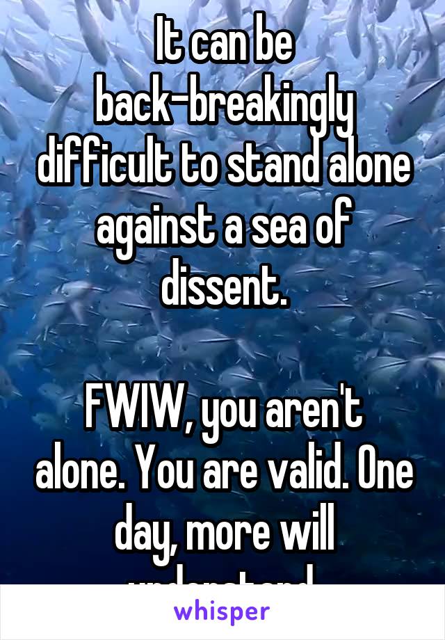 It can be back-breakingly difficult to stand alone against a sea of dissent.

FWIW, you aren't alone. You are valid. One day, more will understand.