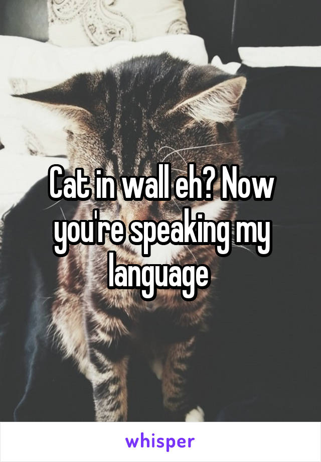 Cat in wall eh? Now you're speaking my language 