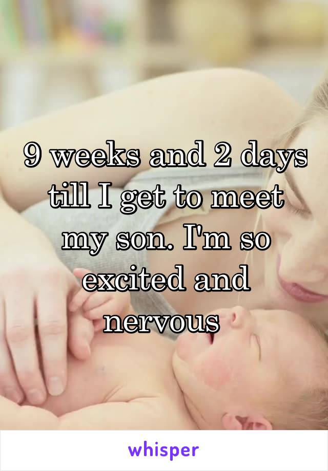 9 weeks and 2 days till I get to meet my son. I'm so excited and nervous 