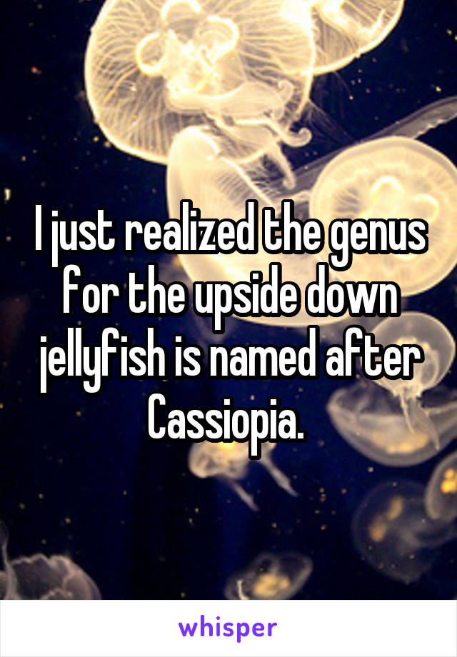 I just realized the genus for the upside down jellyfish is named after Cassiopia. 