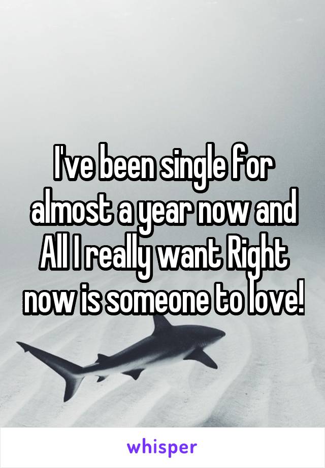 I've been single for almost a year now and All I really want Right now is someone to love!