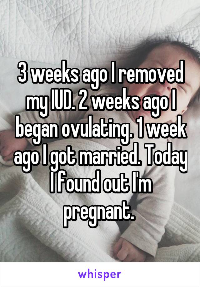 3 weeks ago I removed my IUD. 2 weeks ago I began ovulating. 1 week ago I got married. Today I found out I'm pregnant. 