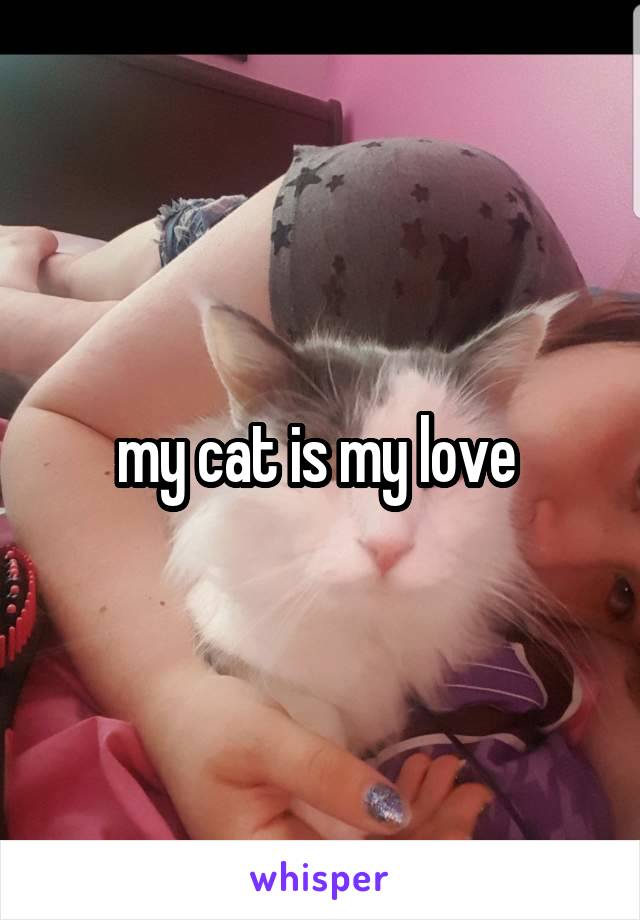 my cat is my love 