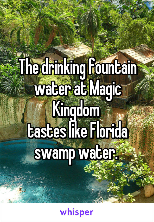 The drinking fountain water at Magic Kingdom 
tastes like Florida swamp water. 