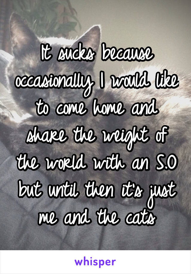 It sucks because occasionally I would like to come home and share the weight of the world with an S.O but until then it's just me and the cats