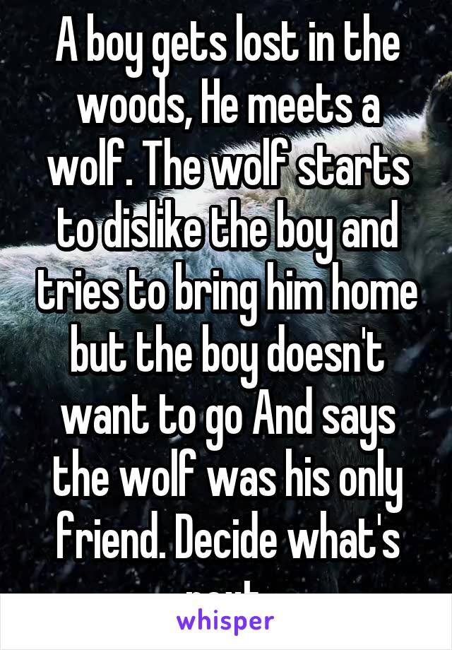 A boy gets lost in the woods, He meets a wolf. The wolf starts to dislike the boy and tries to bring him home but the boy doesn't want to go And says the wolf was his only friend. Decide what's next.