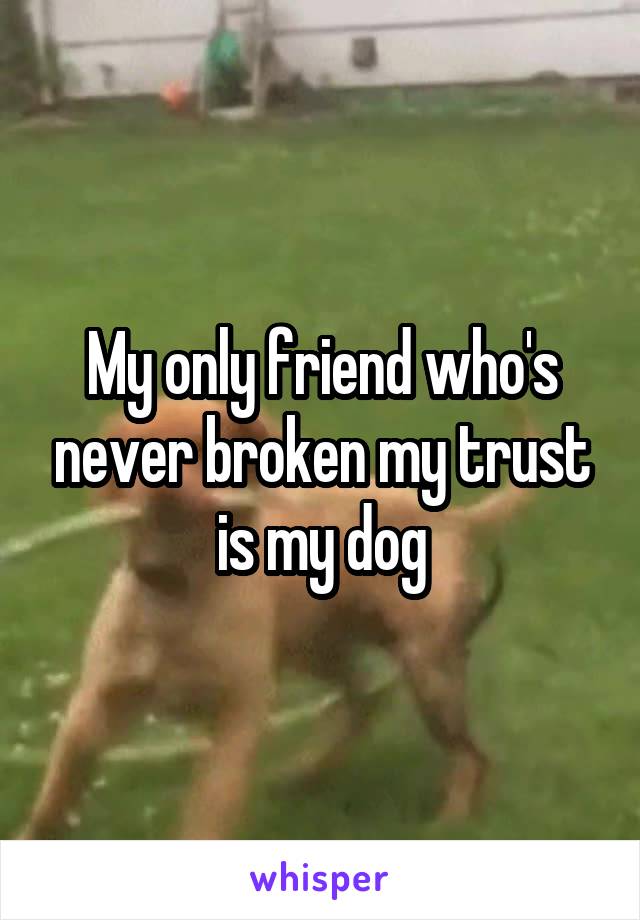 My only friend who's never broken my trust is my dog