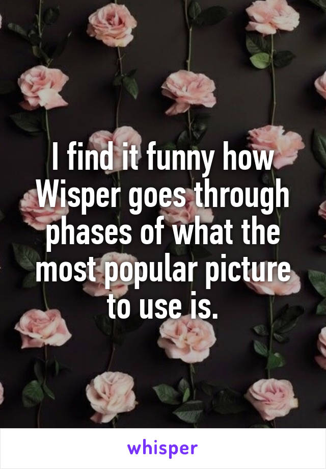 I find it funny how Wisper goes through phases of what the most popular picture to use is.