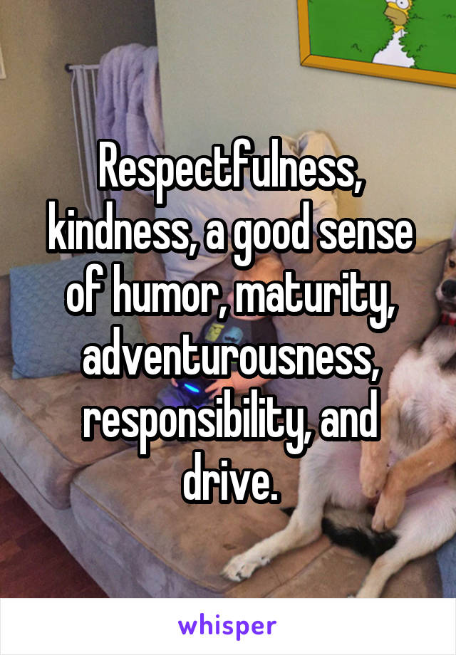 Respectfulness, kindness, a good sense of humor, maturity, adventurousness, responsibility, and drive.