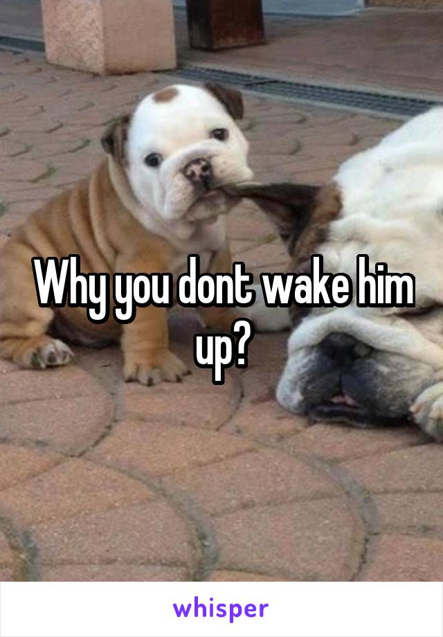 Why you dont wake him up?