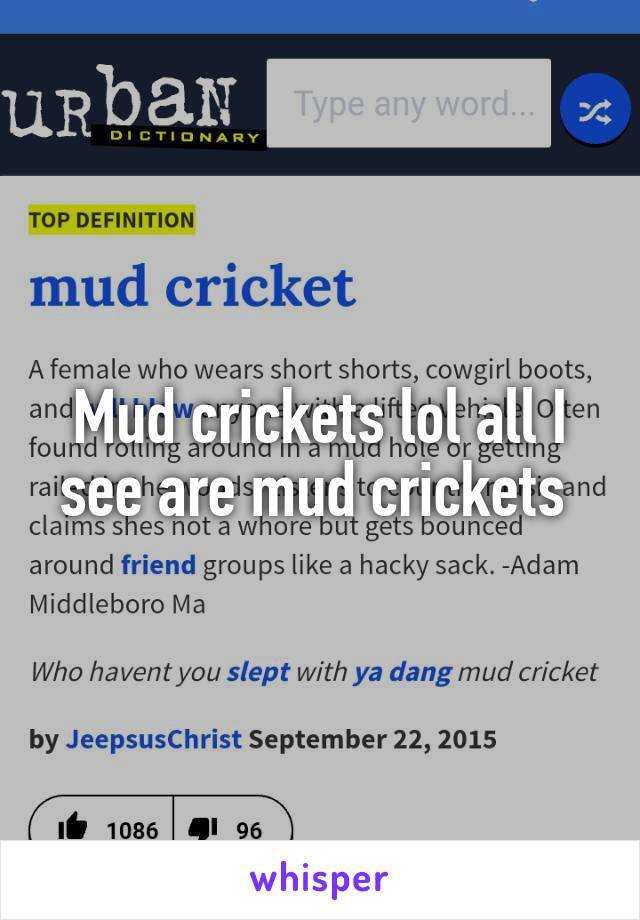 Mud crickets lol all I see are mud crickets 