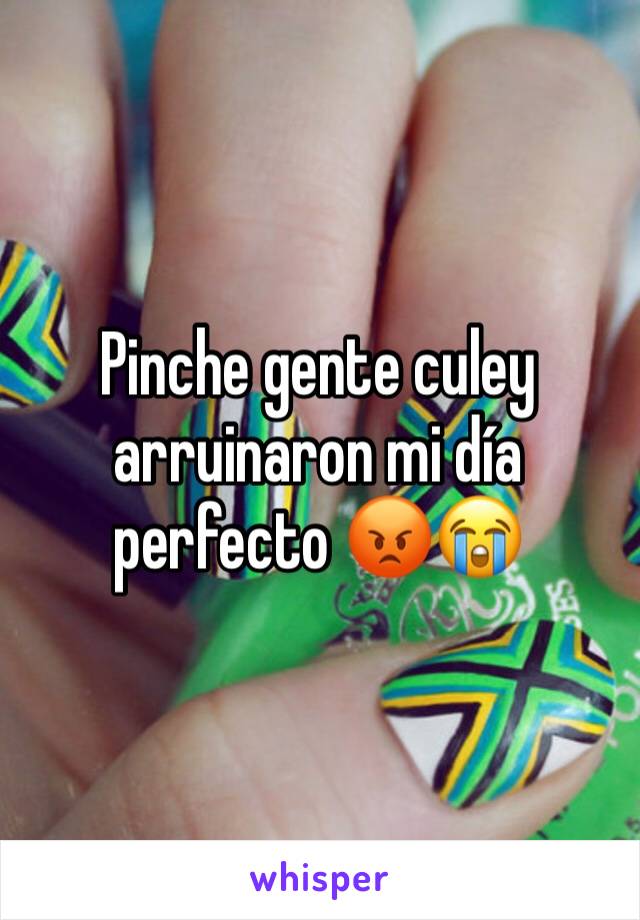 Pinche gente culey arruinaron mi día perfecto 😡😭