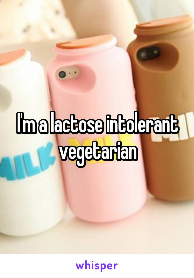 I'm a lactose intolerant vegetarian