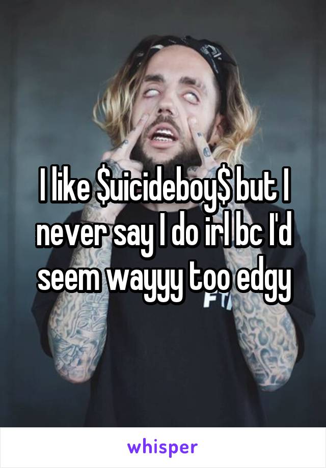 I like $uicideboy$ but I never say I do irl bc I'd seem wayyy too edgy