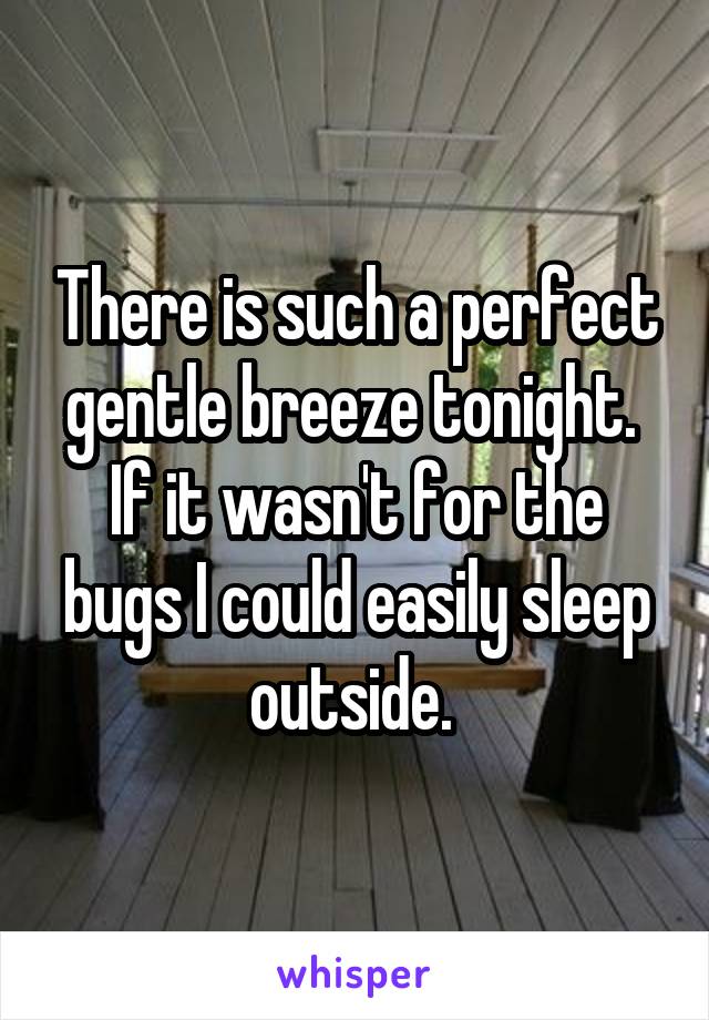 There is such a perfect gentle breeze tonight. 
If it wasn't for the bugs I could easily sleep outside. 