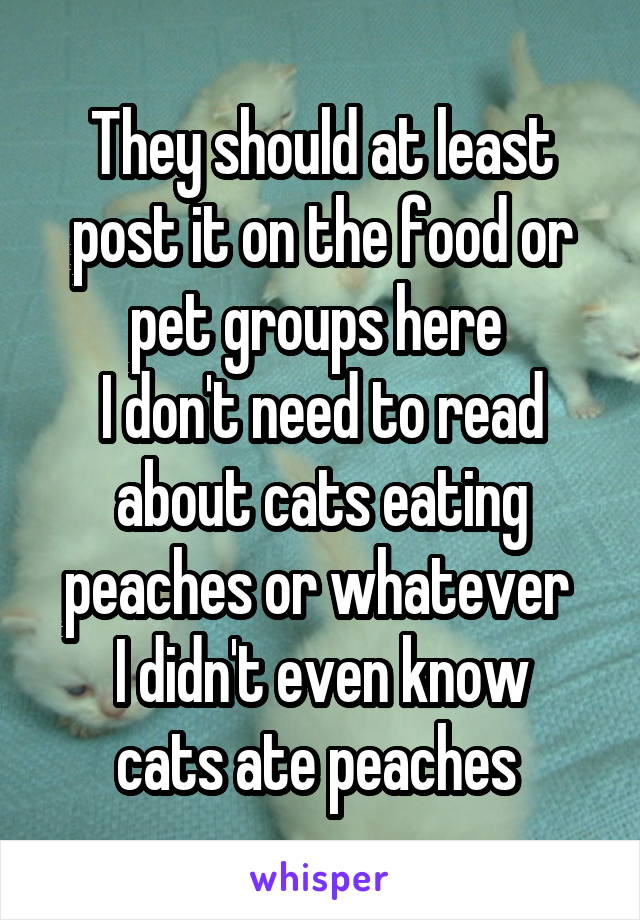 They should at least post it on the food or pet groups here 
I don't need to read about cats eating peaches or whatever 
I didn't even know cats ate peaches 
