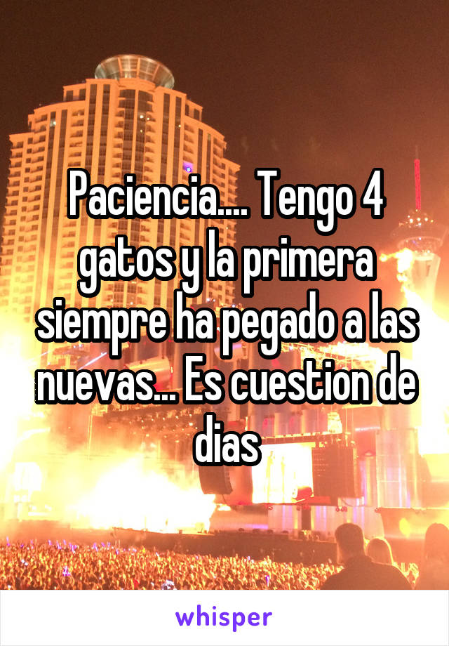 Paciencia.... Tengo 4 gatos y la primera siempre ha pegado a las nuevas... Es cuestion de dias