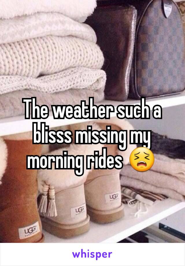 The weather such a blisss missing my morning rides 😣