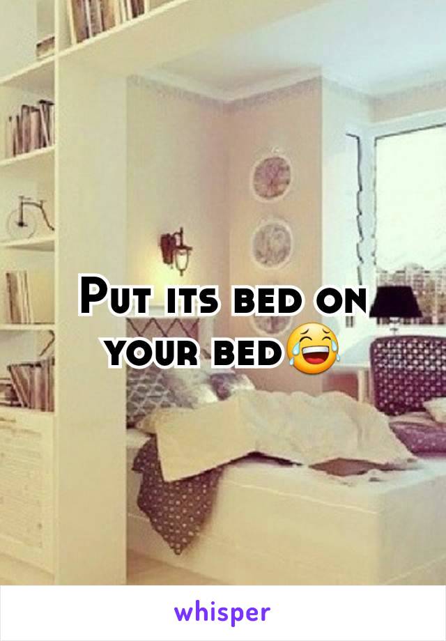 Put its bed on your bed😂