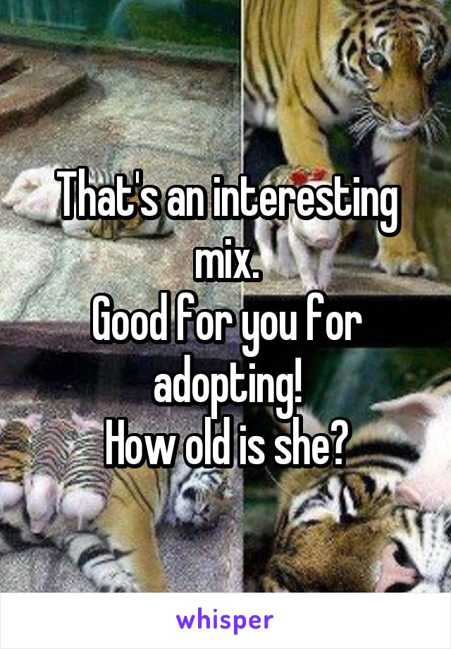 That's an interesting mix.
Good for you for adopting!
How old is she?