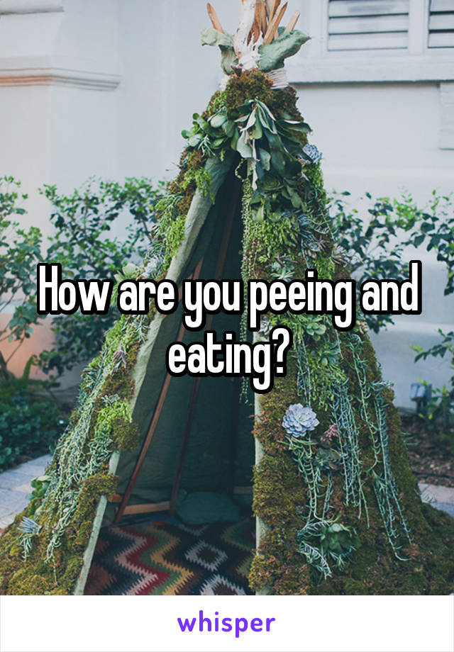 How are you peeing and eating?