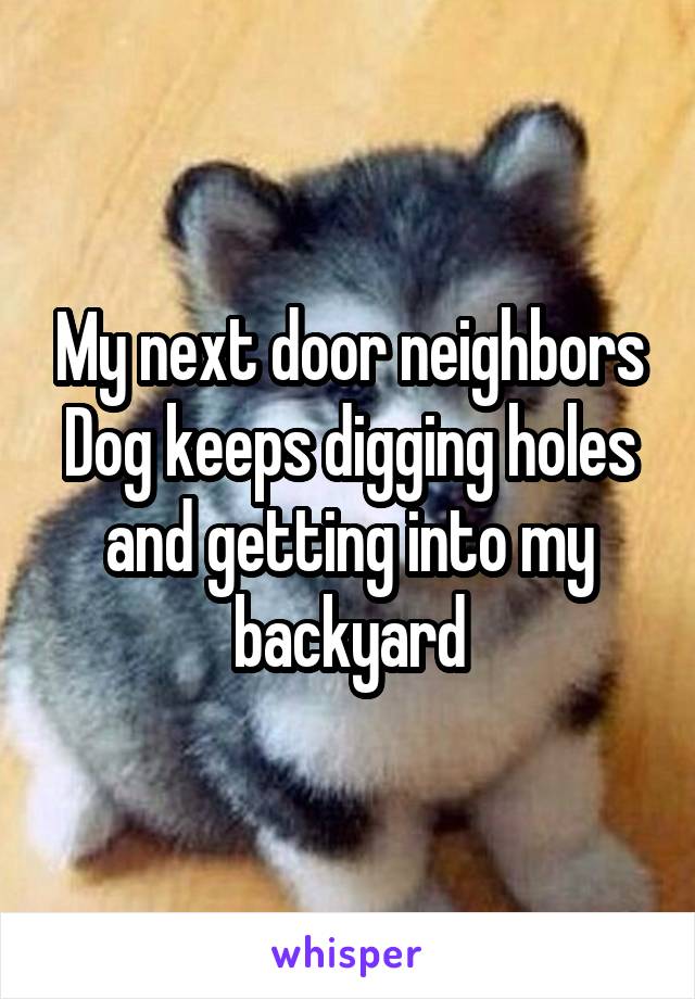 My next door neighbors Dog keeps digging holes and getting into my backyard